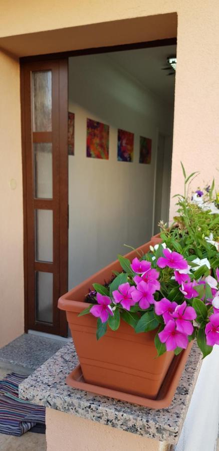Apartmani Zem, Krk クルク エクステリア 写真